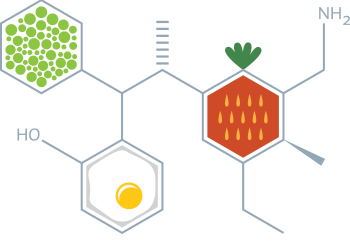 STEM in the Kitchen and Garden